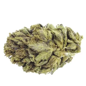 White Widow