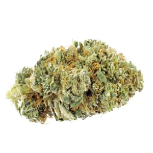 Pineapple Strain